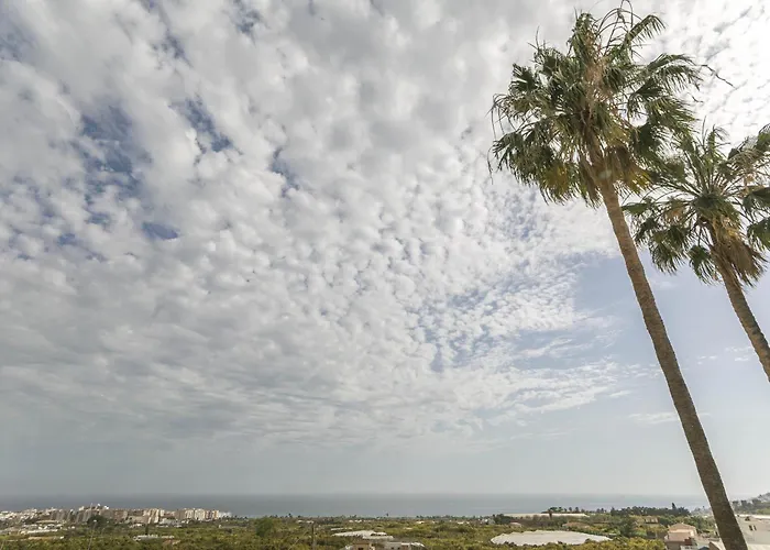 Canovas - Leones * Nerja