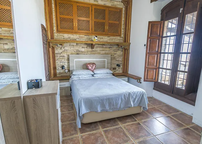 Canovas - Leones Nerja