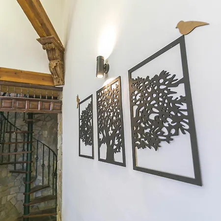 Villa Canovas - Leones *