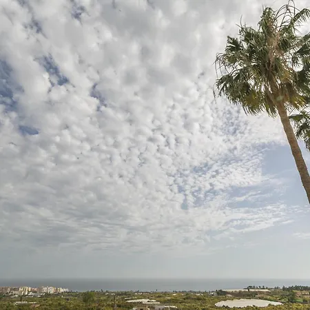 Canovas - Leones * נרחה