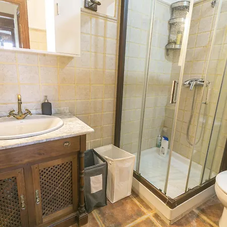 Canovas - Leones * נרחה