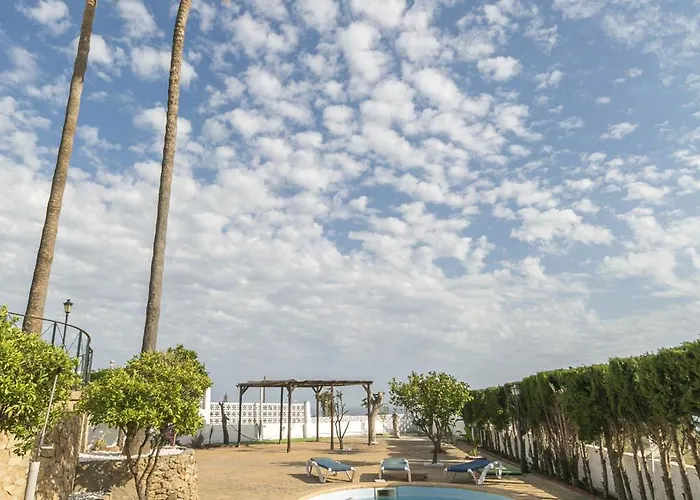 Canovas - Leones Нерха